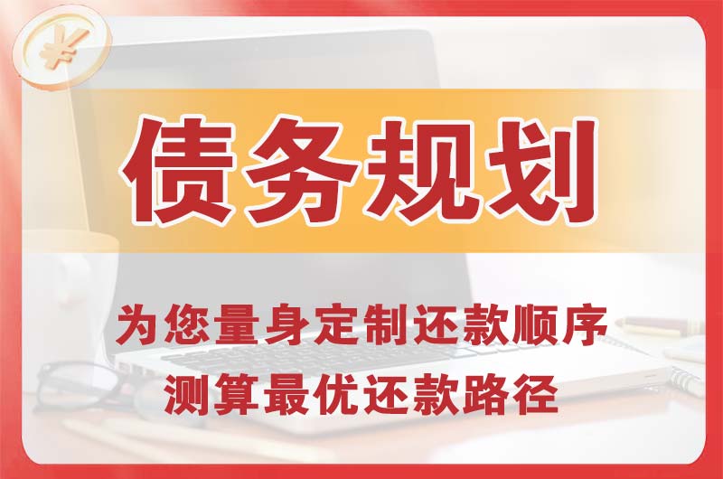 阜康债务规划